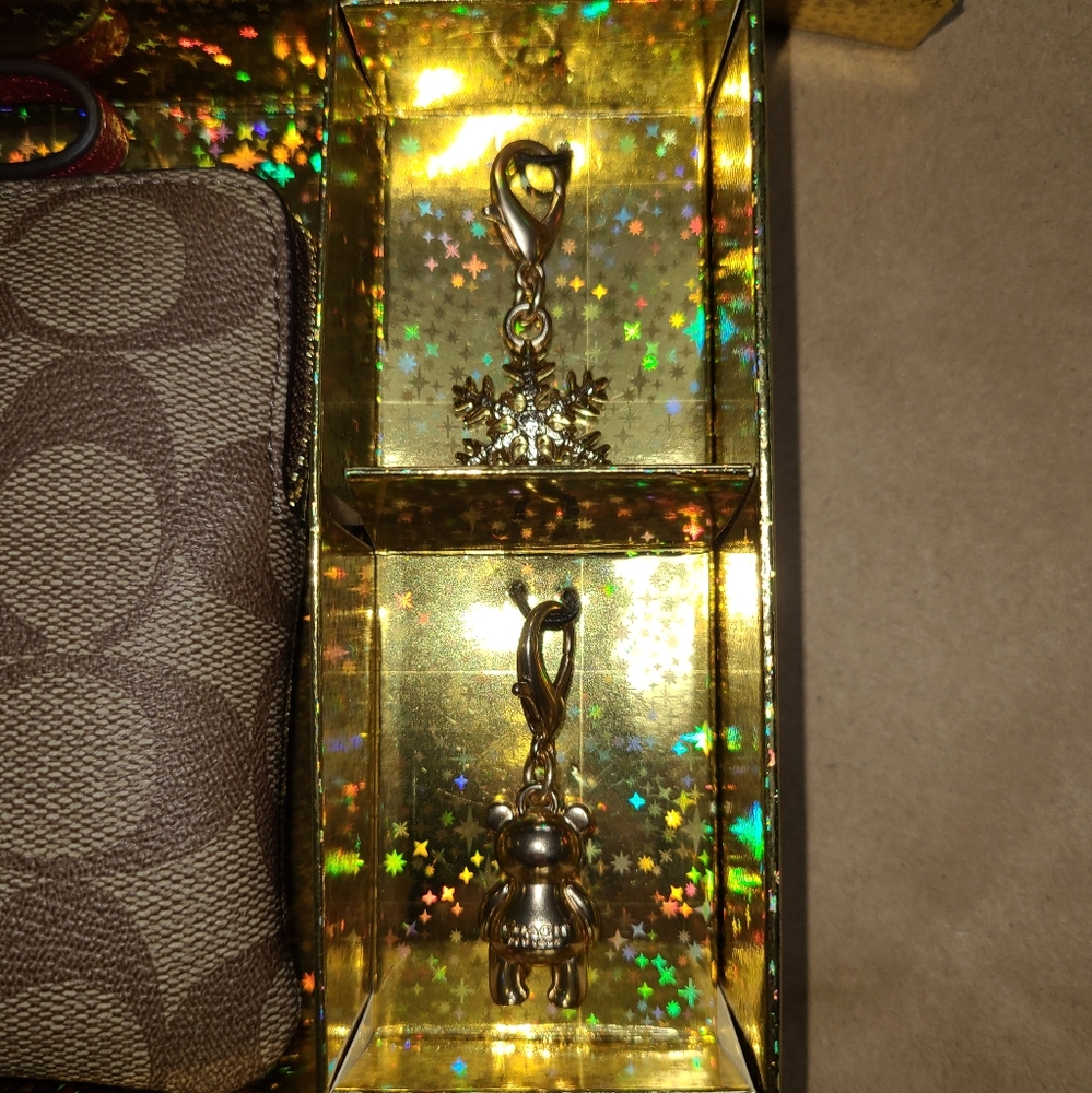 🎁🧸 New Signature Large Corner Zip w Charms - Picture 5 of 7